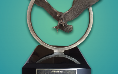 SE Automation Wins Third Bronze Eagle in a Row